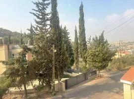 Three-Bedroom Apartment with Stunning Views