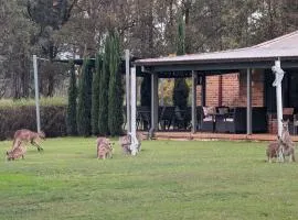 Blaxlands Kangaroo Homestead with Hot Tub walk to Concerts and Wineries