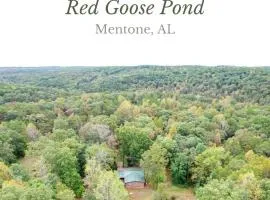 Red Goose Pond - Mins to Desoto Falls, Fire Pit