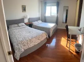 201 Large Private Bedroom on second floor