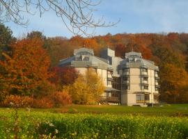 Hellmut-Waßmer-Jugendherberge Lörrach, ostello a Lörrach