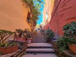 Maison T3 rénovée au cœur de Collioure avec terrasse ensoleillée - FR-1-309-457