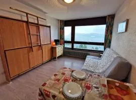 Studio confortable au cœur des Adrets-Prapoutel, animaux admis - FR-1-771-2