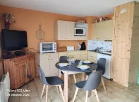 Studio confortable à 200m des pistes avec balcon et TV - Animaux interdits - FR-1-771-73