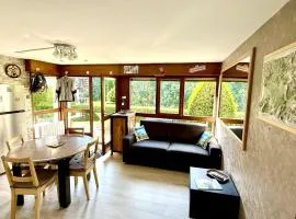 Appartement avec terrasse, 1 chambre, 6 pers, Wi-Fi et Parking privé - FR-1-836-55