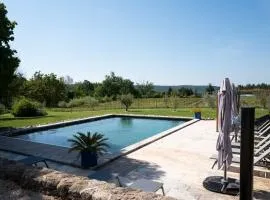 Mas With Heated Pool In Luberon