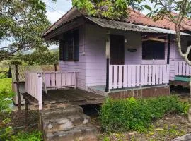 เขาค้อ ภูดาว Resort & Camping