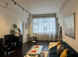 Large apartment city center