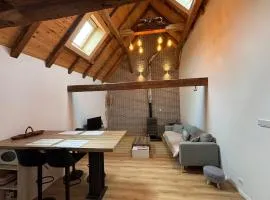 Le perchoir du Haut Koenigsbourg