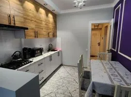 Tashkent International Aeroport