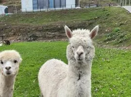 Galactic getaways MARS