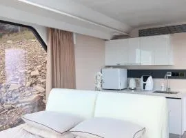 Galactic getaways PLUTO