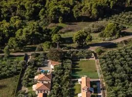 Ασφένδαμος