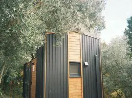 Italy Farm Stay by Tiny Away