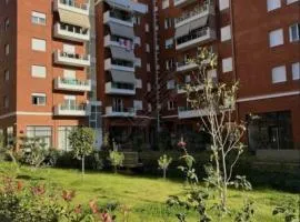 Deasapartments in Tirana 3