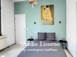 La Licorne, grand studio chaleureux