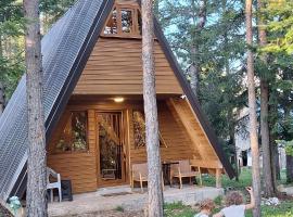 Vila Djordje Žabljak, hotel in Žabljak