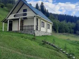 Лісовий котедж