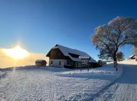 Aparthotel Teddy Kvilda