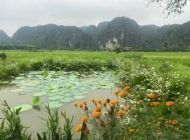 Tam coc MrHieu homestay