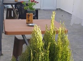 Guest House Rose, apartment in Borjomi