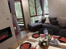 Dream Apart - Iceberg