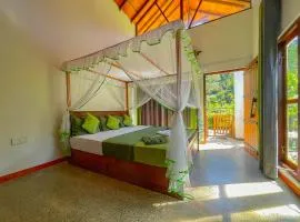 Sinharaja Rainforest Vibe