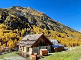 Chalet prestige 14 pers au pied des pistes