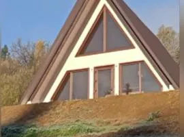 Котедж Відпочинок в Карпатах