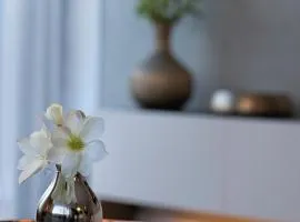 3D Park Living Apartment