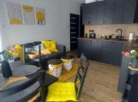 Apartament Black Oak