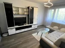 Big apartment for four