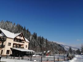 Pensiunea Tora, hôtel à Vatra Dornei