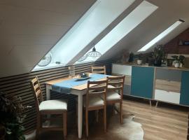 U tří koček, ξενοδοχείο σε Sokolov