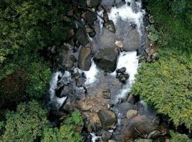 Hill Rows Plantation and Forest Experience By GreenEscapes, hotel en Vythiri