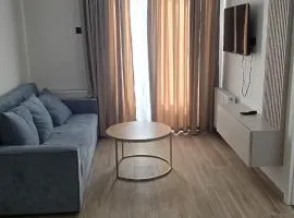Apartment in Borjomi