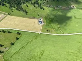 Tente Glamping dans les arbres de la Ferme du Bois de l'halle