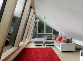 Villa Eichwald - Schwarzwaldloft
