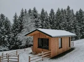 Ferienhaus "Moosgrün" - Tiny House Urlaub