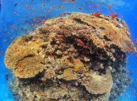 VESTA - Gouna Residence