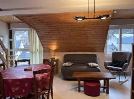 Confort familial à Cauterets, 4 pers., calme et bien situé - FR-1-812-75