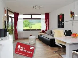 Tolles Appartement Mit Pool In Schluchsee