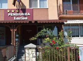 Pension Larisa, hotel a Arad