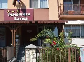 Pension Larisa