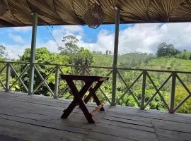 Zen Garden Palace Ella