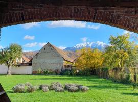 Curte la Munte - charming village house、Sebeşu de Susのヴィラ
