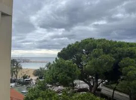 Bel Appartement 2 Pièces au Lavandou avec Climatisation - FR-1-308-13