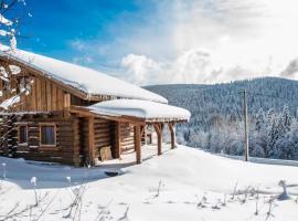 Chalet Serenity, Liézey - Gérardmer 9p - Spa, hotel en Liézey