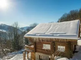 Chalet Les Lucioles, La Bresse 14p - SPA