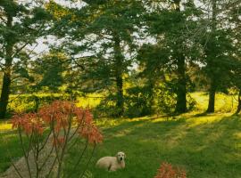 Casadearte, hotel a Arana